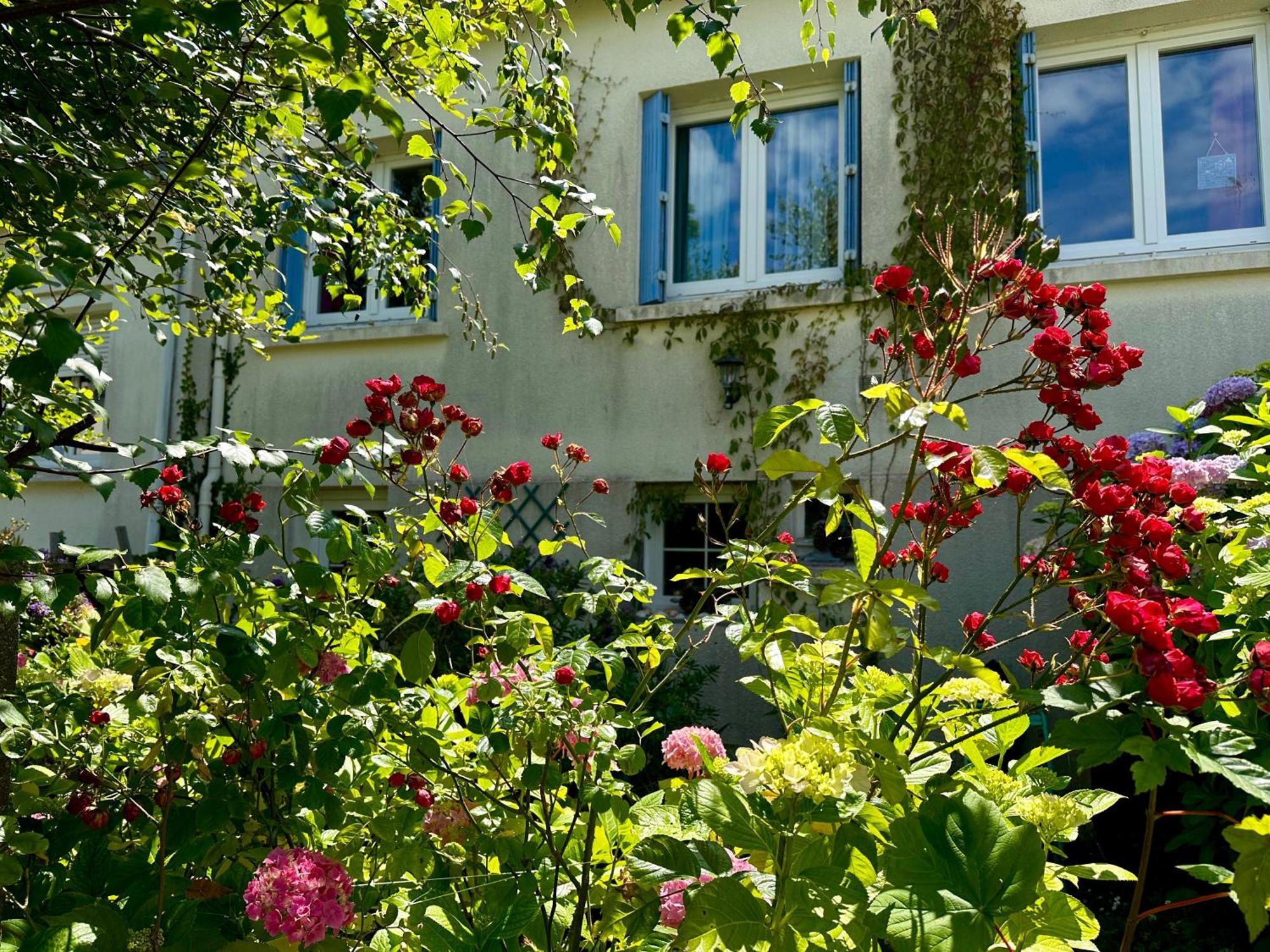 Agréable maison à 500 m de la plage ! Saint-Quay-Portrieux Esterno foto